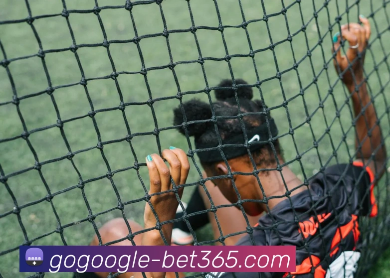 bet365APP 高清赛事图